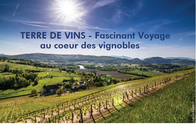 Terre de vins gastronomie