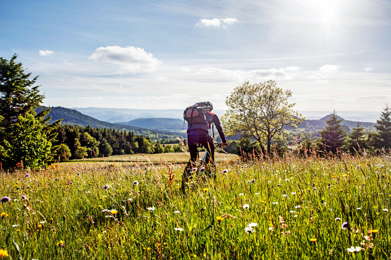 VTT dans le massif du Meygal (43)
