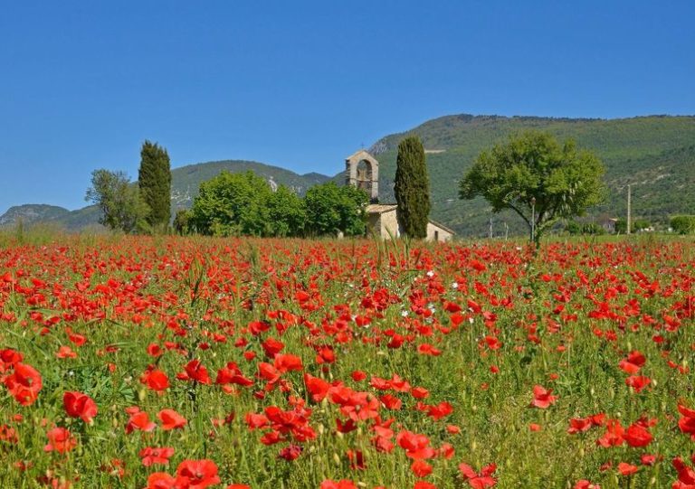 Bilan au 18 mai 2020