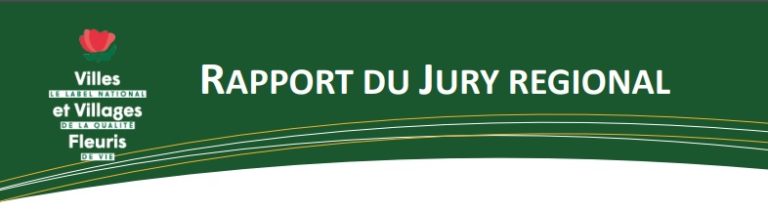 RAPPORT DU JURY REGIONAL